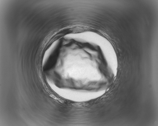 X0000080770241200701051309