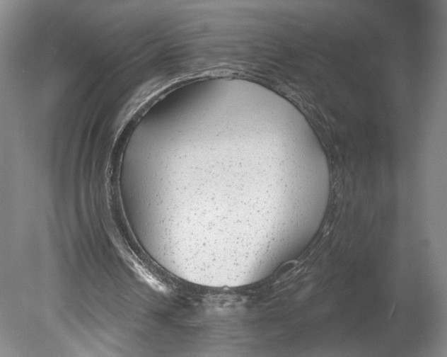 X0000080770242200701051309