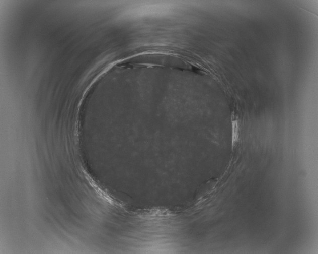 X0000080770243200701051309