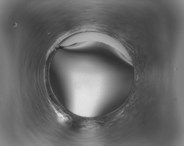 X0000080770244200701051309