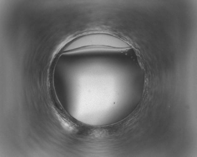 X0000080770248200701051309