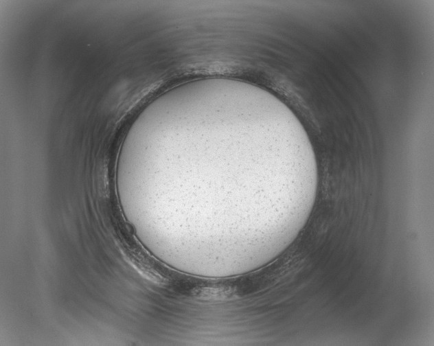 X0000080770251200701051309