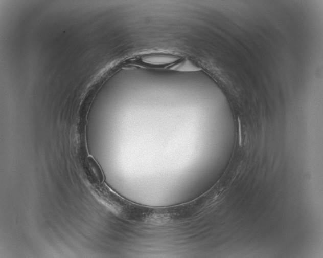 X0000080770252200701051309