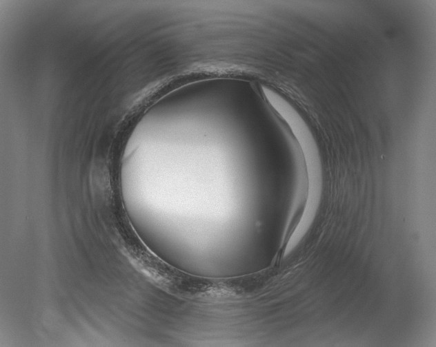 X0000080770256200701051309