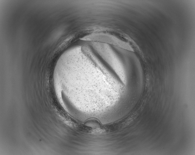 X0000080770257200701051309