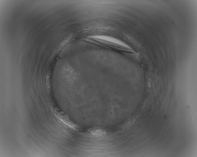 X0000080770258200701051309