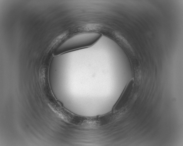 X0000080770260200701051309