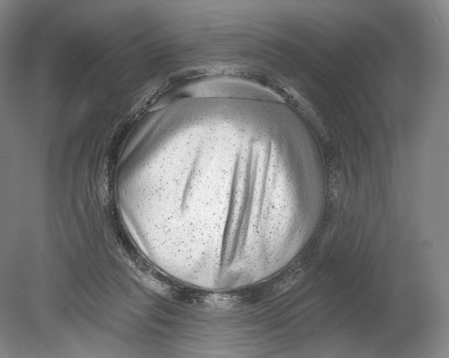 X0000080770261200701051309