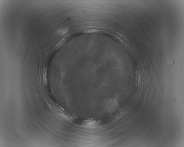 X0000080770267200701051309