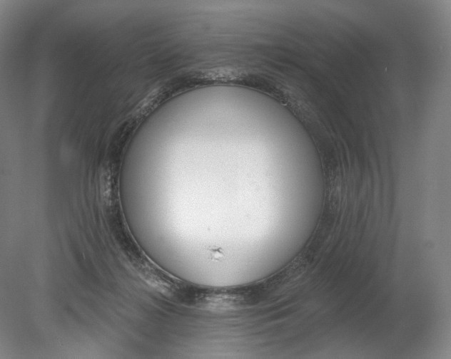 X0000080770268200701051309