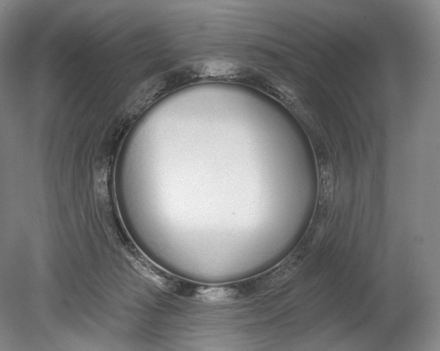 X0000080770269200701051309