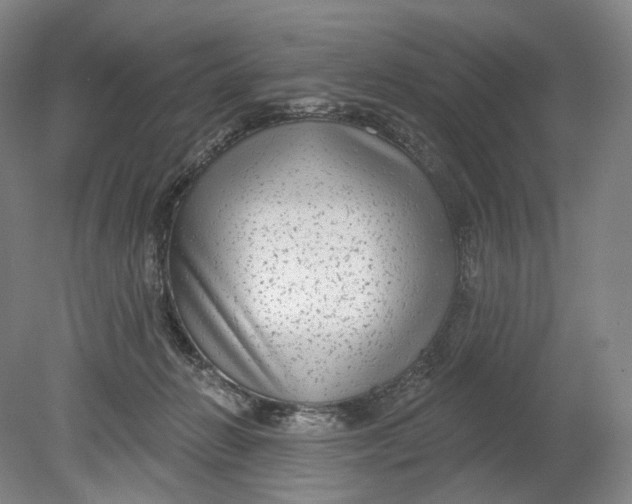 X0000080770270200701051309