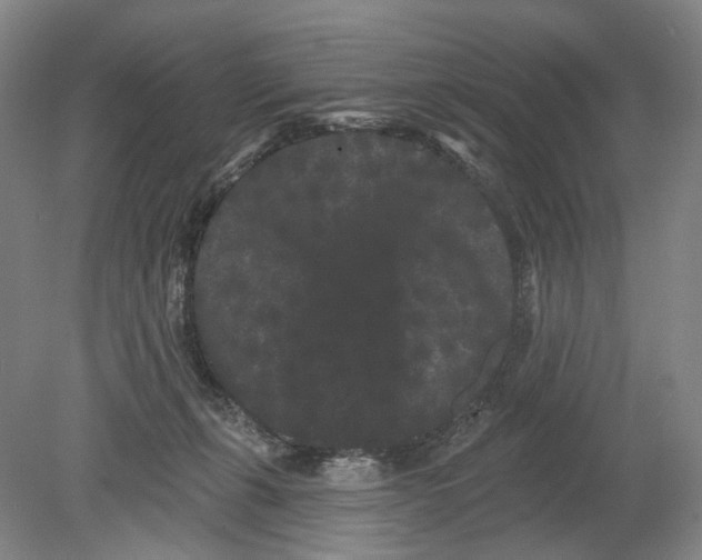 X0000080770271200701051309