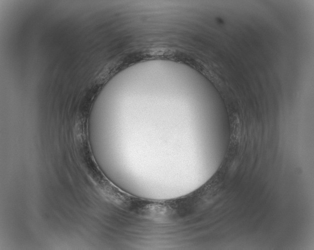 X0000080770272200701051309