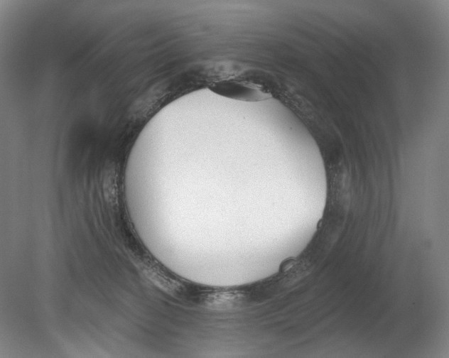 X0000080770274200701051309