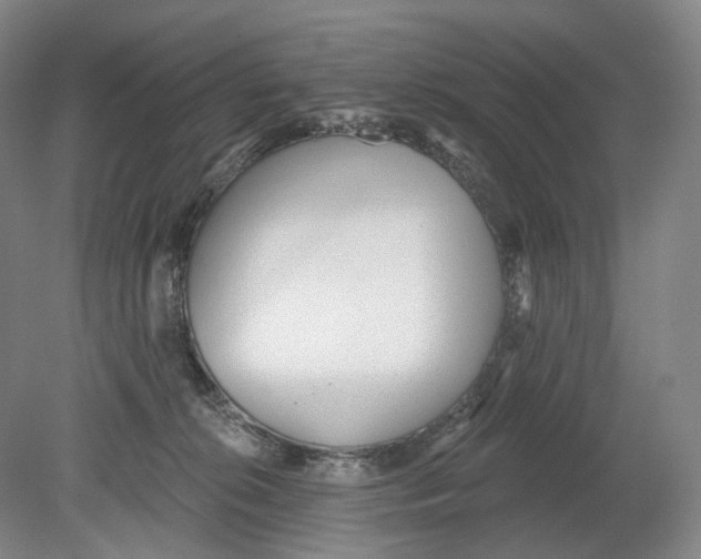 X0000080770276200701051309