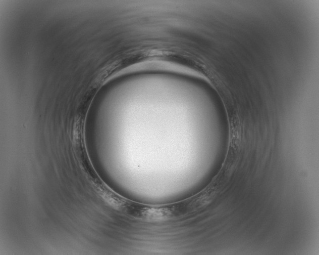 X0000080770277200701051309