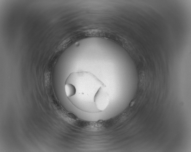 X0000080770278200701051309