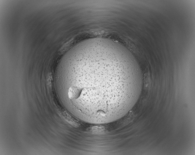 X0000080770279200701051310