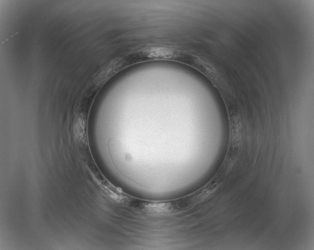 X0000080770281200701051310