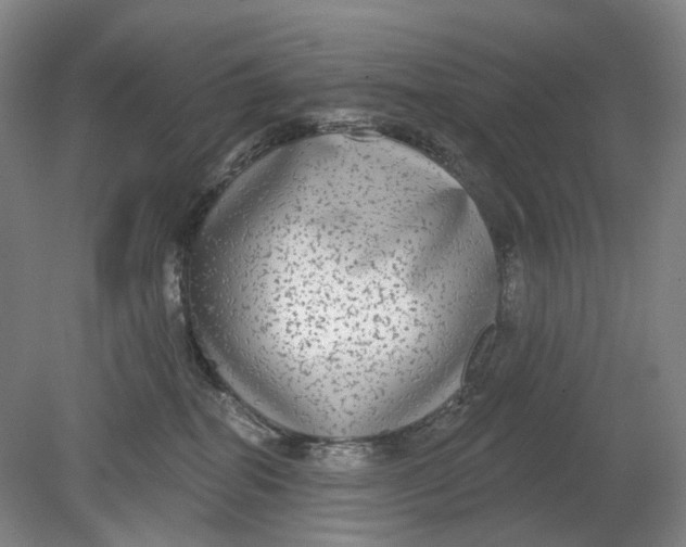 X0000080770282200701051310