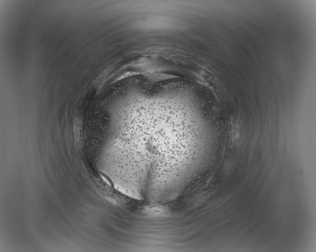 X0000080770283200701051310