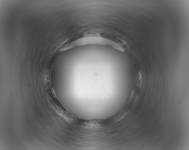 X0000080770284200701051310