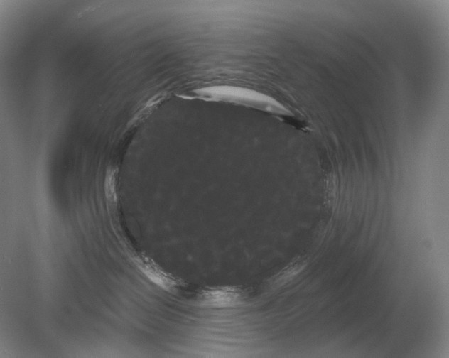 X0000080770286200701051310