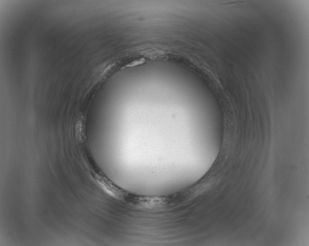 X0000080770288200701051310