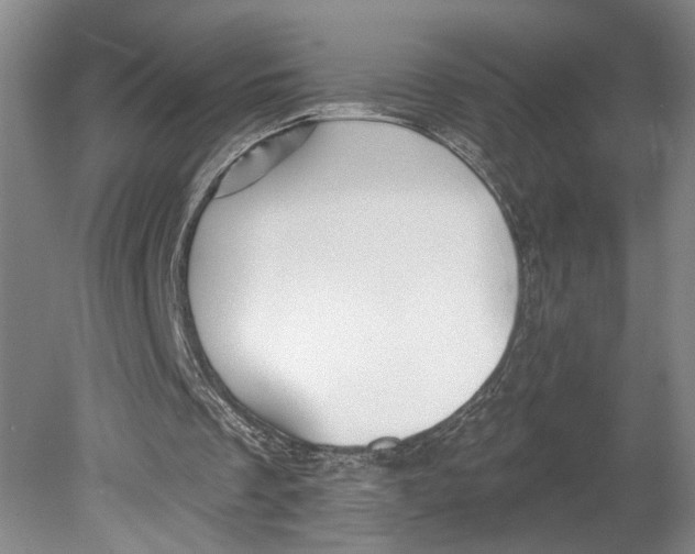 X0000080770289200701051309