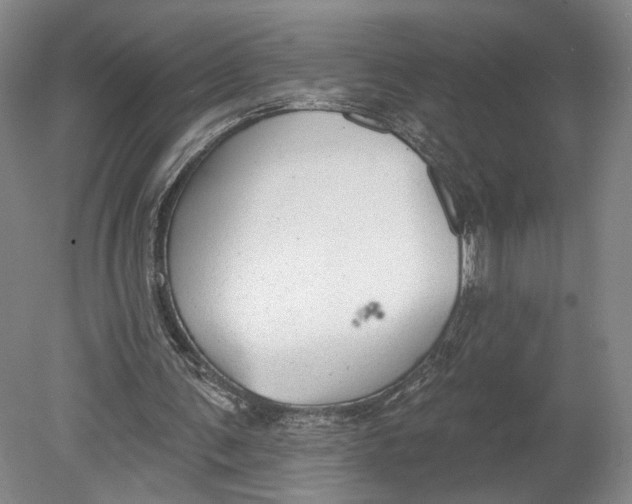 X0000080770291200701051309