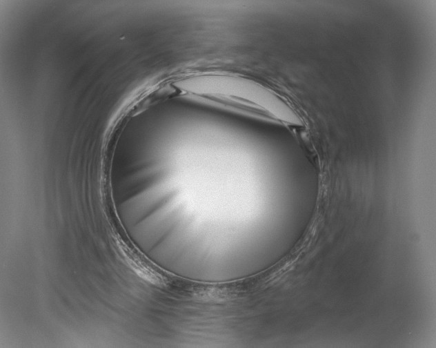 X0000080770293200701051309