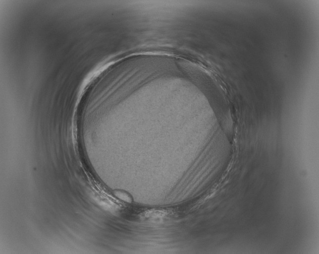 X0000080770294200701051309