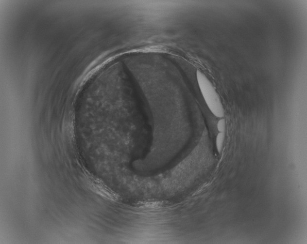 X0000080770295200701051309