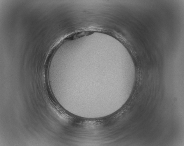 X0000080770298200701051309