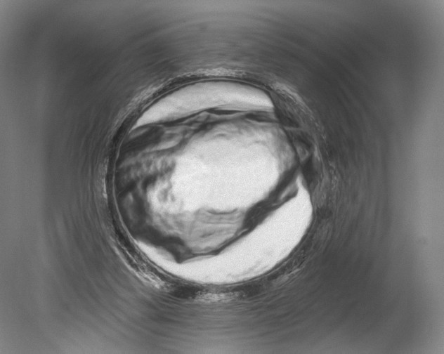 X0000080770299200701051309