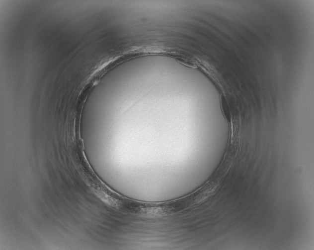 X0000080770301200701051309