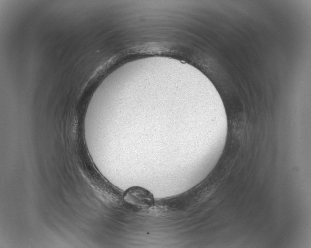 X0000080770304200701051309