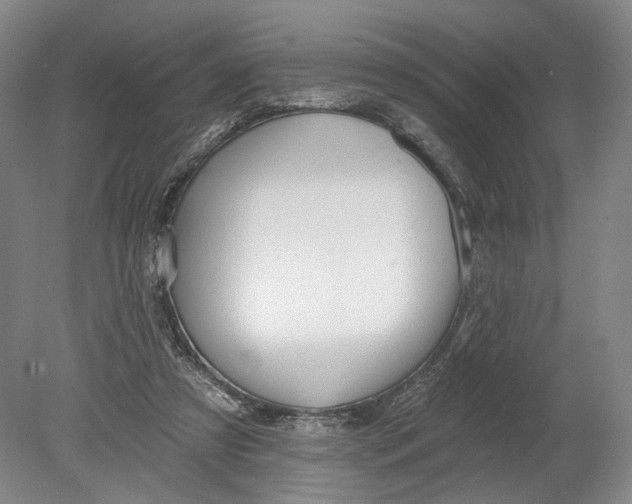 X0000080770305200701051309