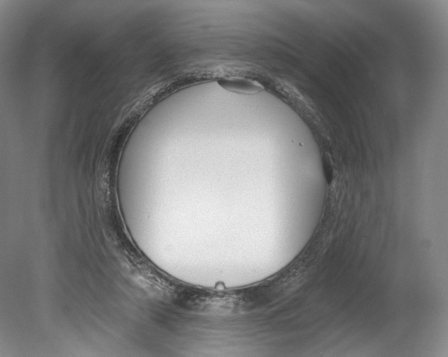 X0000080770306200701051309