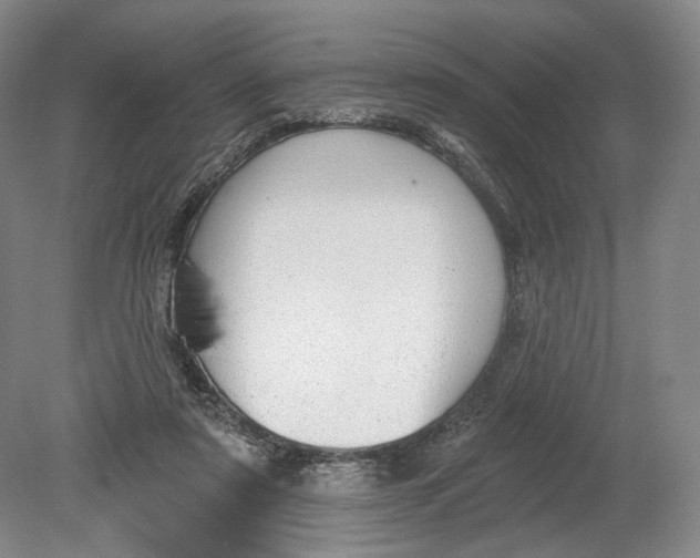 X0000080770307200701051309