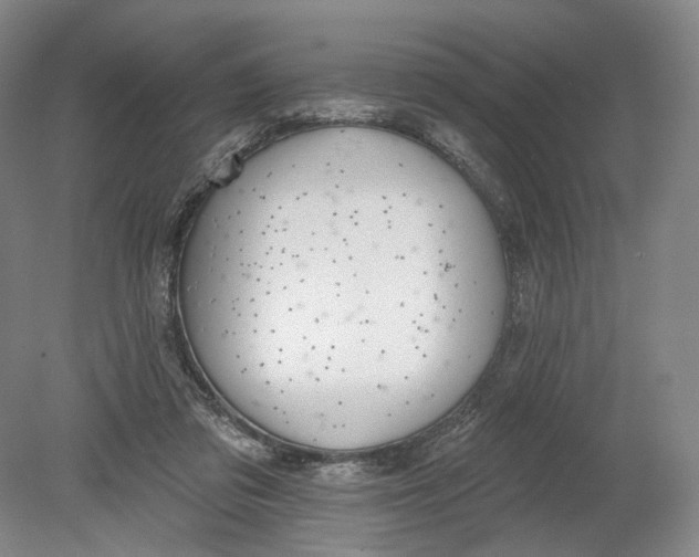 X0000080770309200701051309