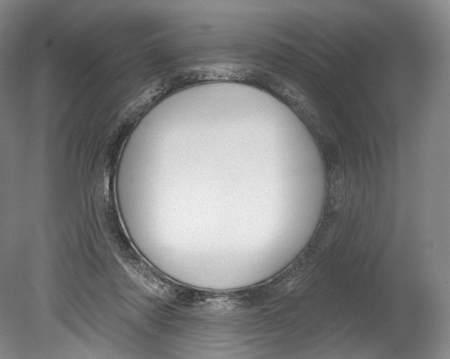 X0000080770310200701051308