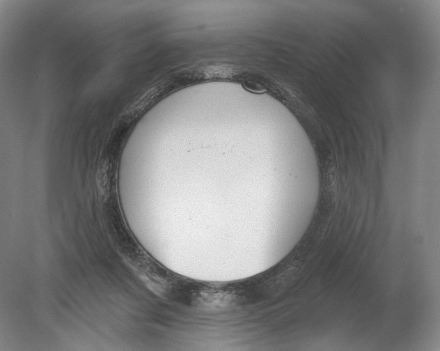 X0000080770311200701051308