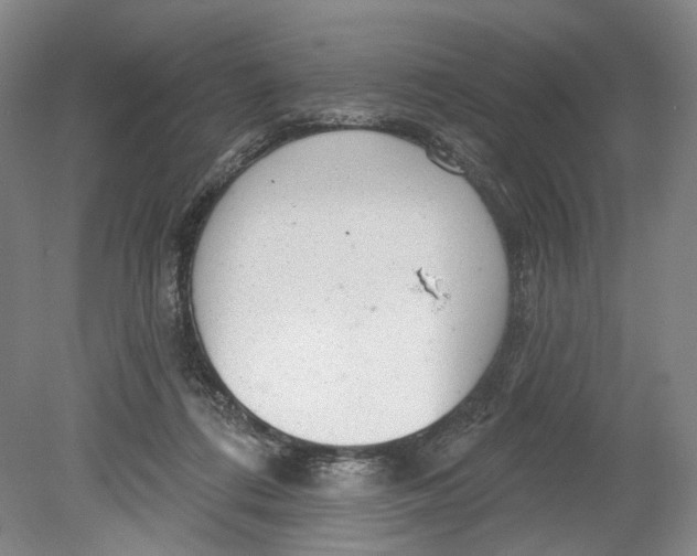 X0000080770312200701051308