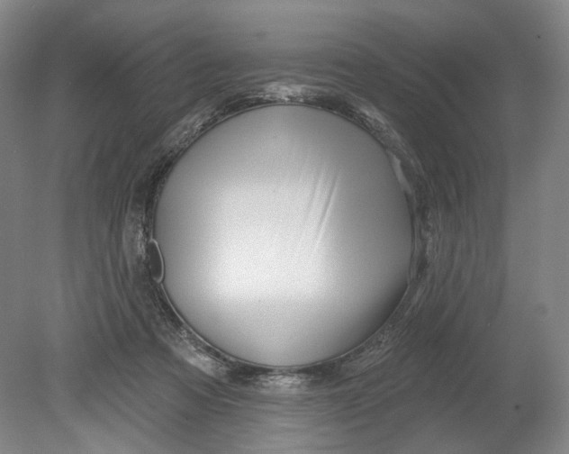 X0000080770313200701051308