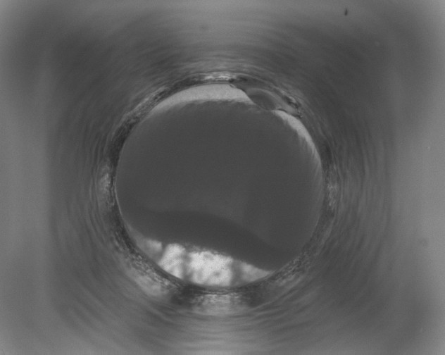 X0000080770314200701051308