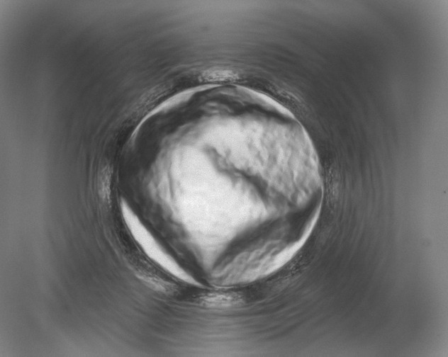 X0000080770315200701051308