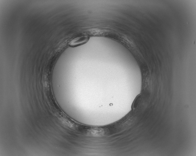 X0000080770317200701051308