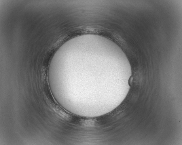 X0000080770318200701051308